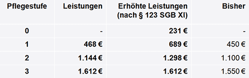Pflegeleistungen 2015
