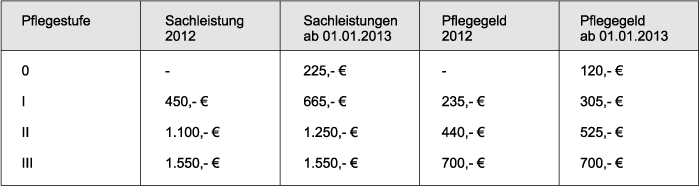 Pflegeleistungen