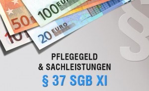Finanzierung Pflegegeld und Sachleistungen