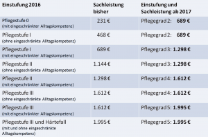 Pflegesachleistungen